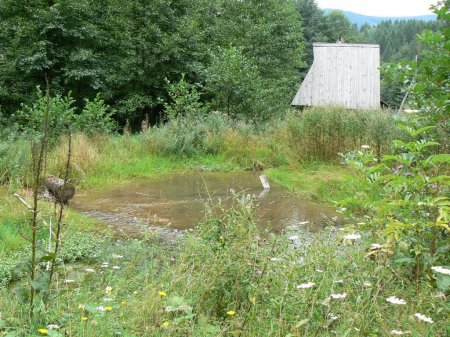 Bungalovi i Objekti_2008_015